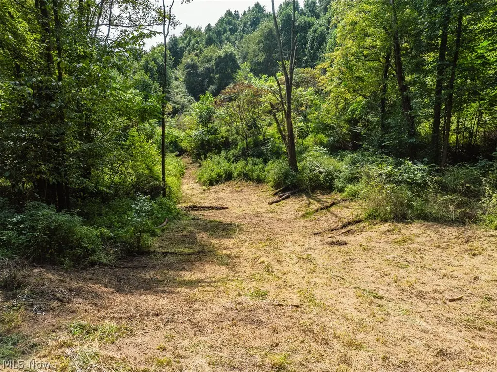 Luneman Road, Scio, OH 43988 - #1