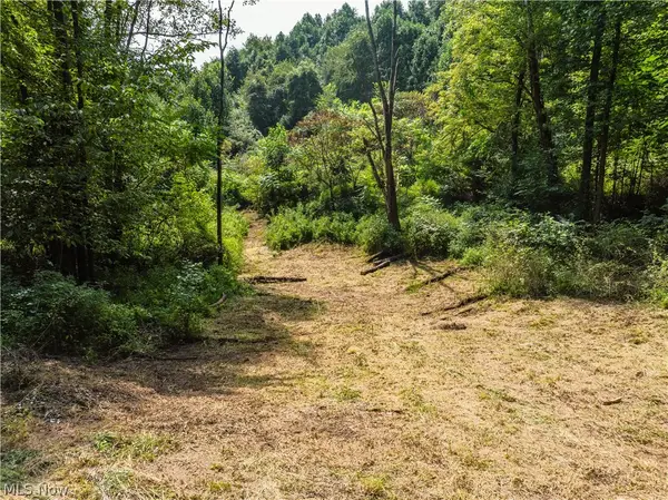 Luneman Road, Scio, OH 43988