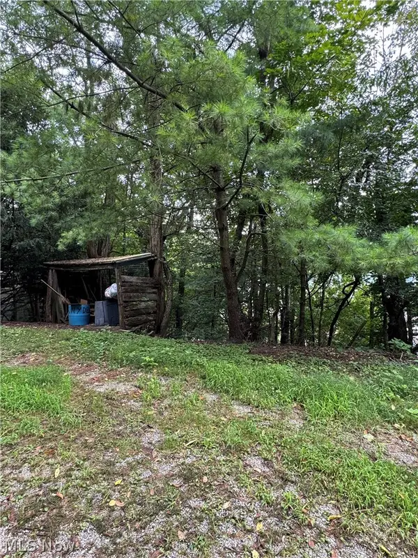 509 Columbus Avenue, Martins Ferry, OH 43935