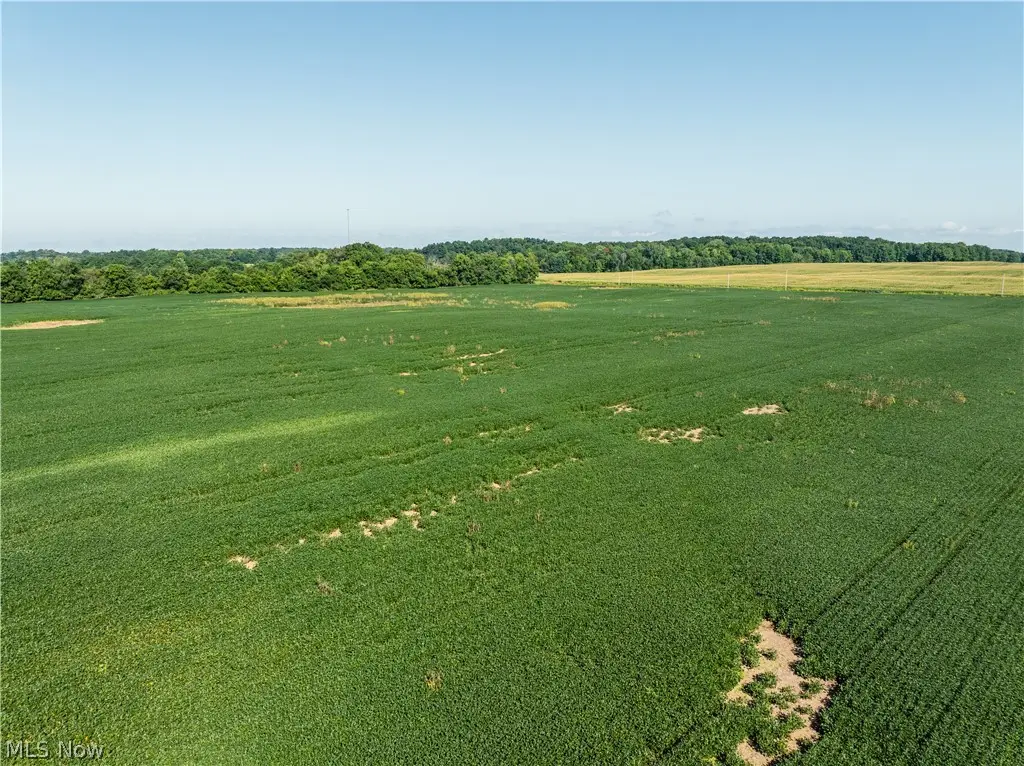 Perry Road, Centerburg, OH 43011 - #1