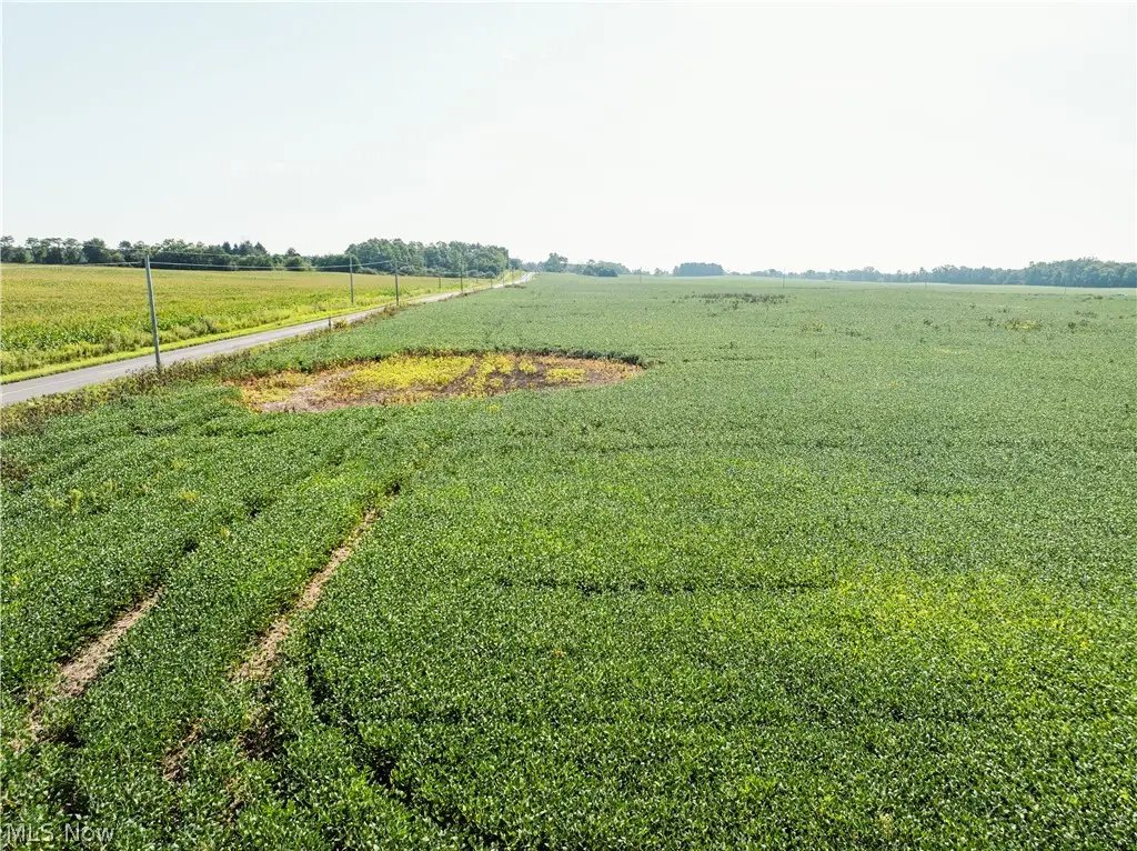 Sycamore Road, Centerburg, OH 43011 - #1