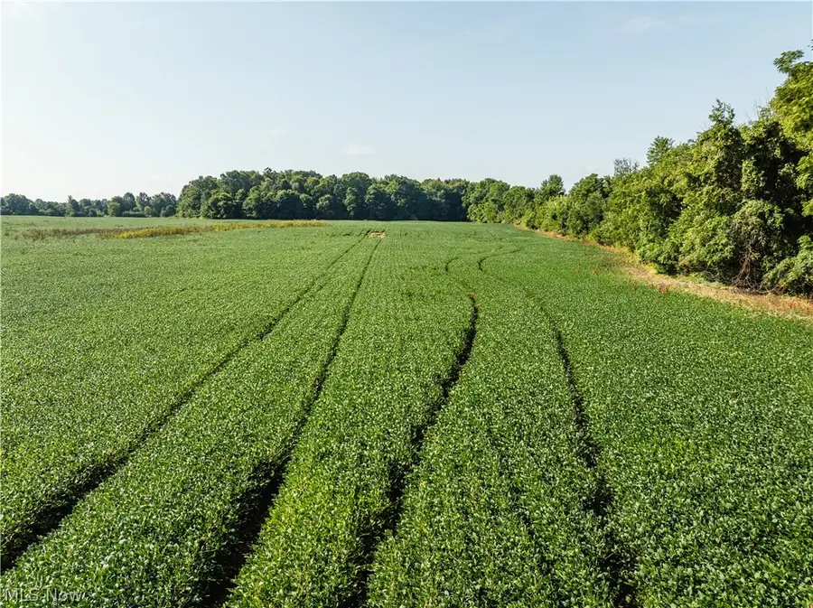 Sycamore Road, Centerburg, OH 43011 - #3