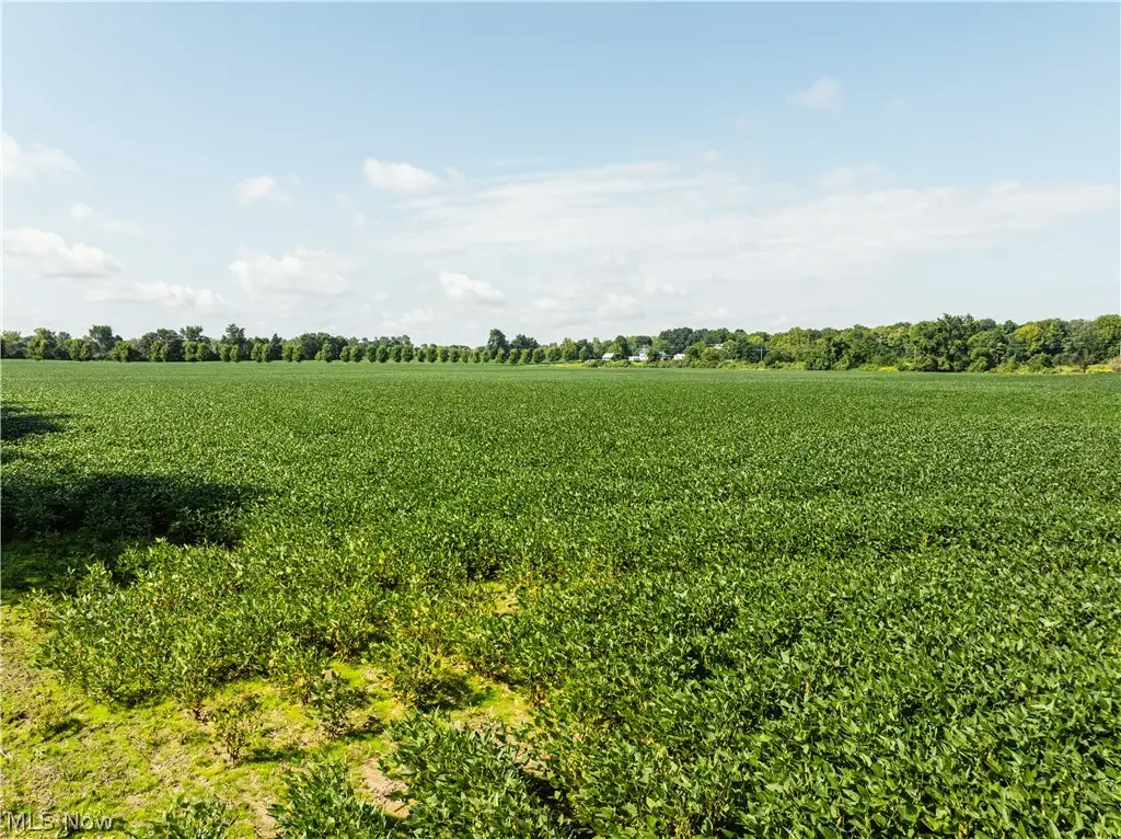 Webster Road, Centerburg, OH 43011 - #1