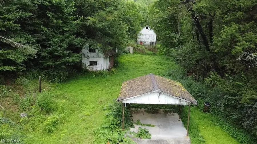 38559 Pattons Run Road, Sardis, OH 43946 - #3