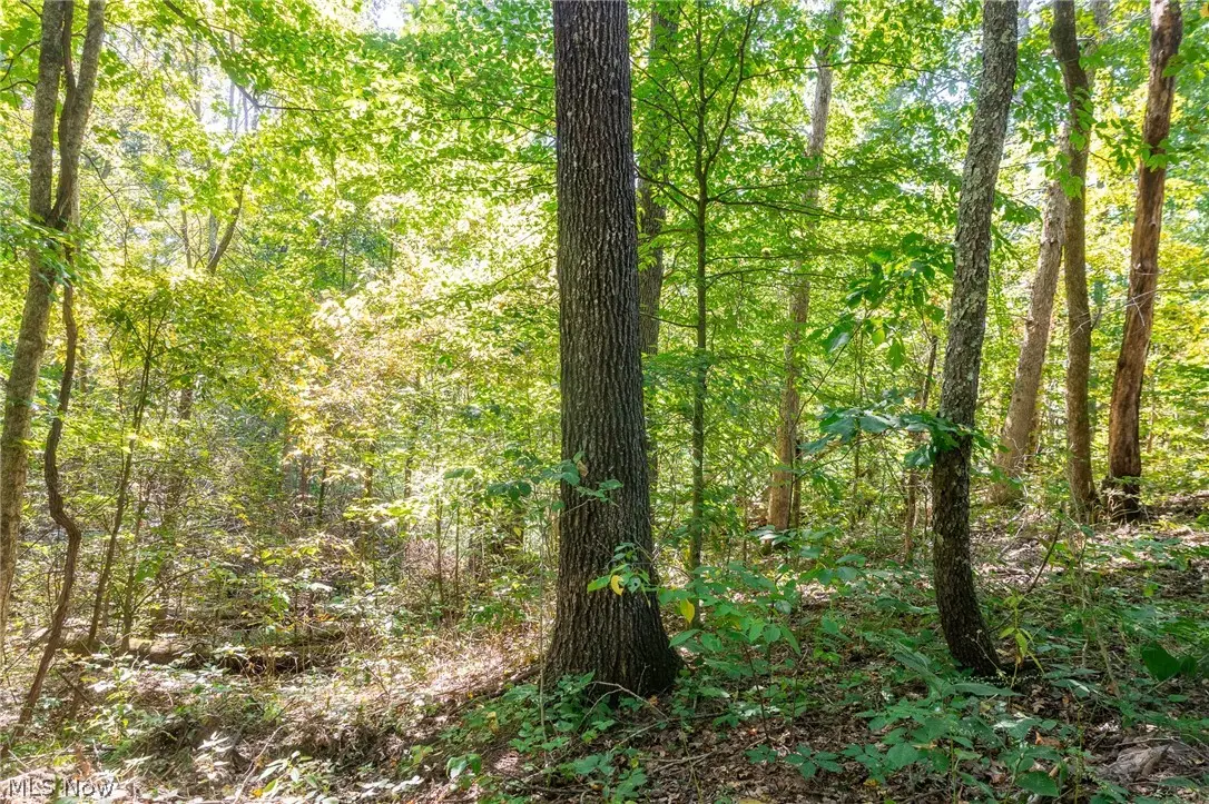 0 County Rd 269, Monroe, OH 43730 - #1