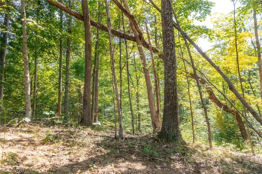 0 County Rd 269, Monroe, OH 43730 - #3