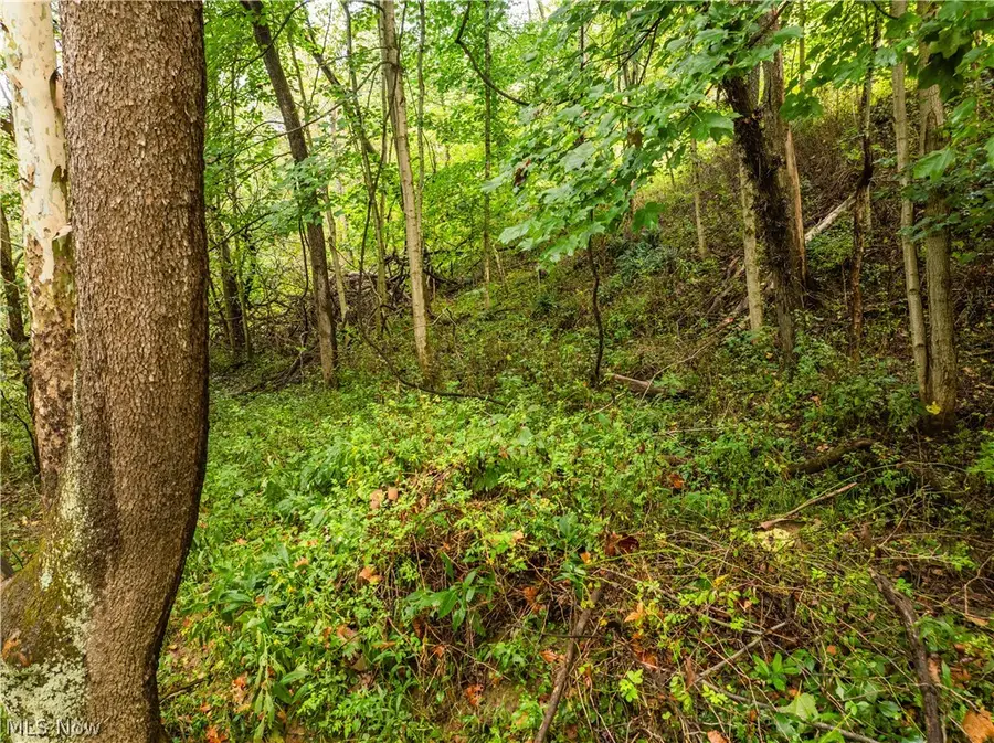 Sr 60, Dresden, OH 43821 - #3