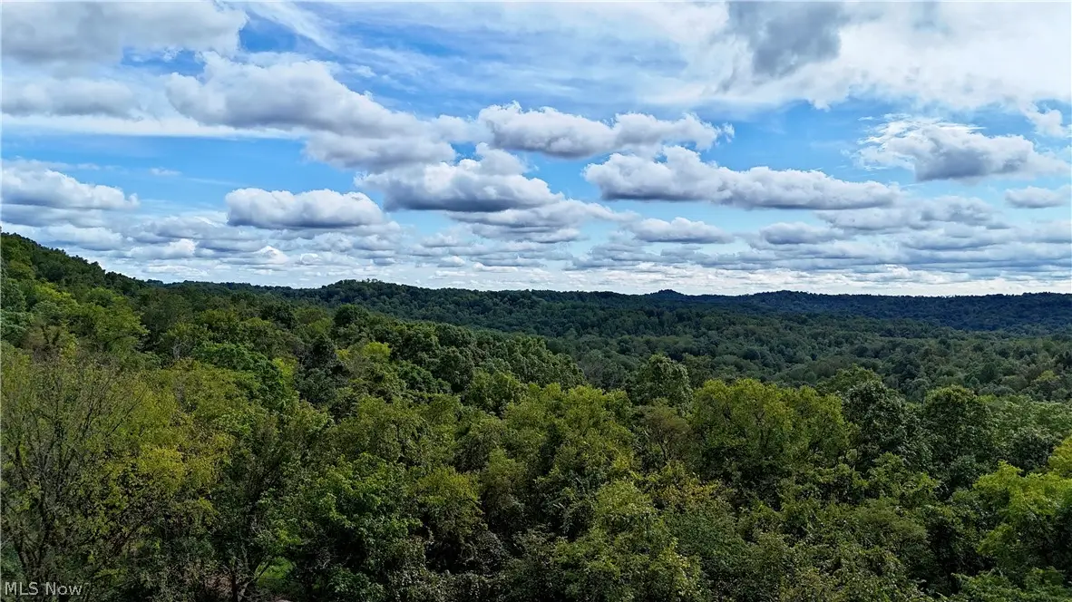 00 Dutch Ridge Road, Ravenswood, WV 26164 - #1