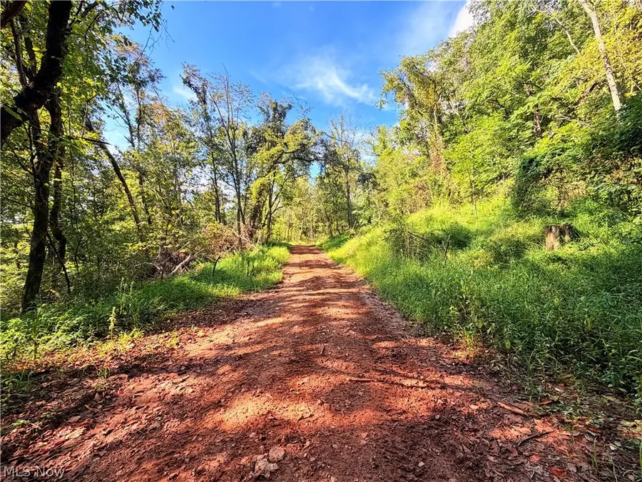 00 Dutch Ridge Road, Ravenswood, WV 26164 - #2