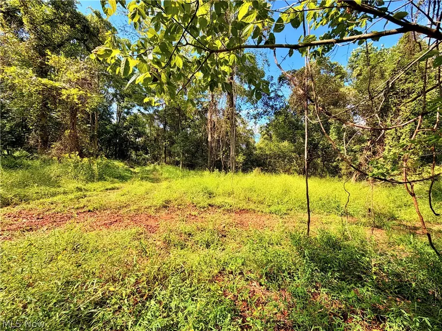 00 Dutch Ridge Road, Ravenswood, WV 26164 - #3