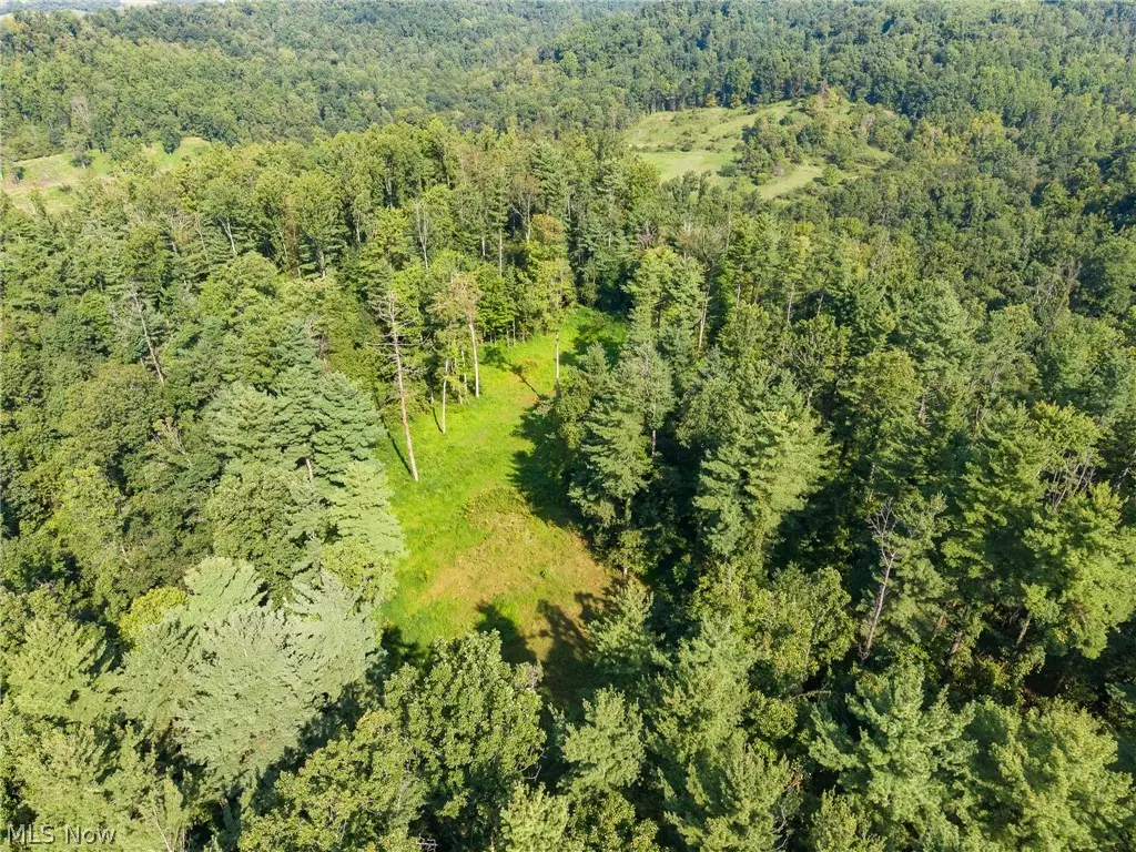 Pumpkin Ridge Road, Quaker City, OH 43773 - #1