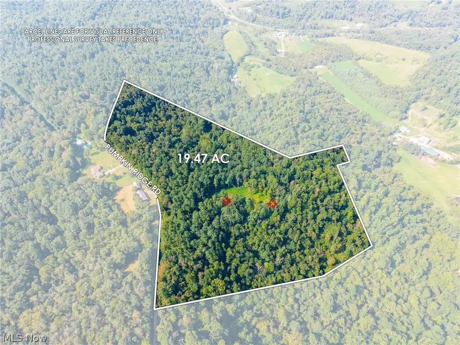 Pumpkin Ridge Road, Quaker City, OH 43773 - #3