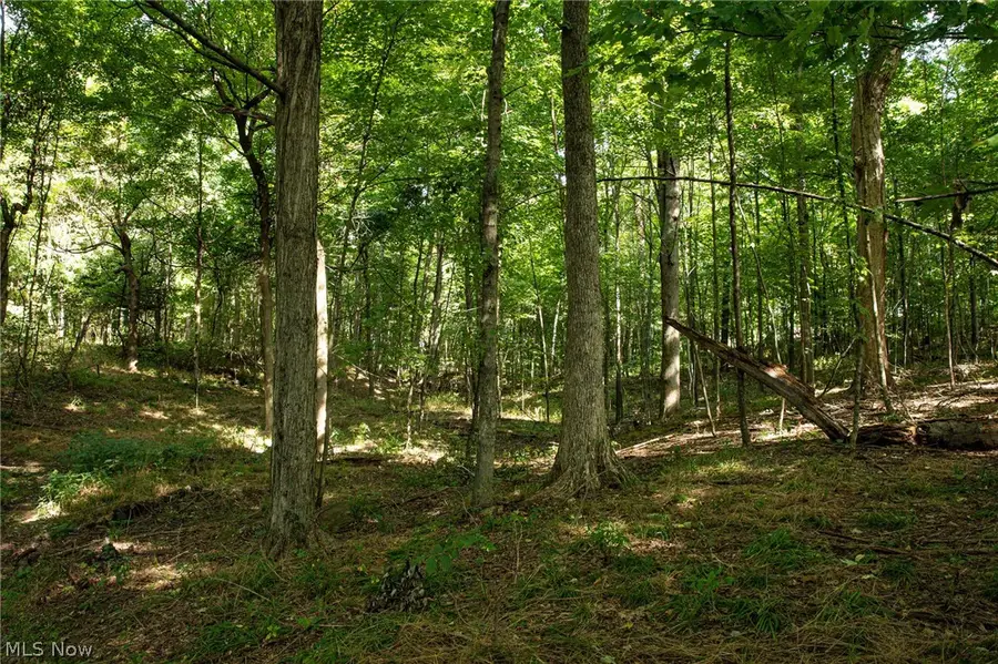 Smith Sw Road, Navarre, OH 44662 - #2