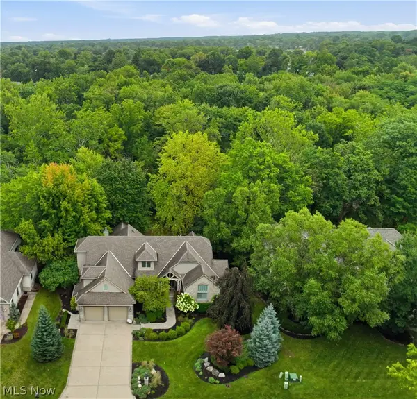 411 Stonebridge Drive, Amherst, OH 44001