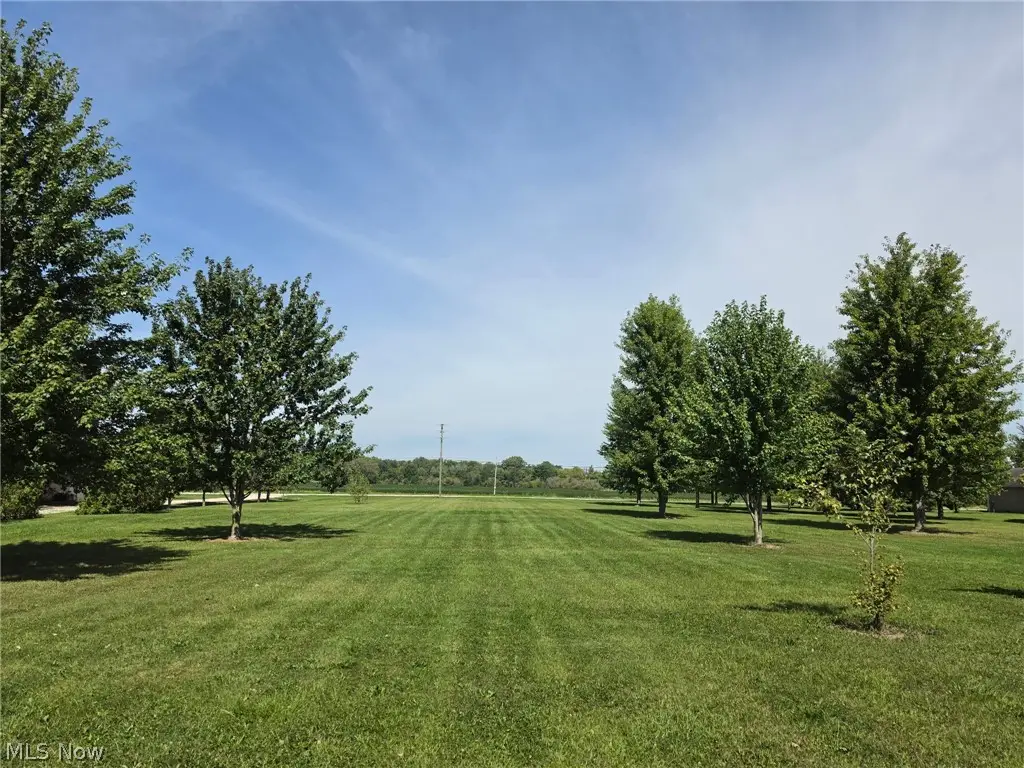 State Route 303 #Lot A, Lagrange, OH 44050 - #1