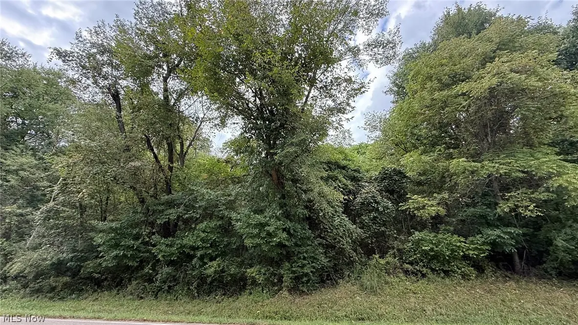 Riverside Nw Avenue, Massillon, OH 44647 - #1