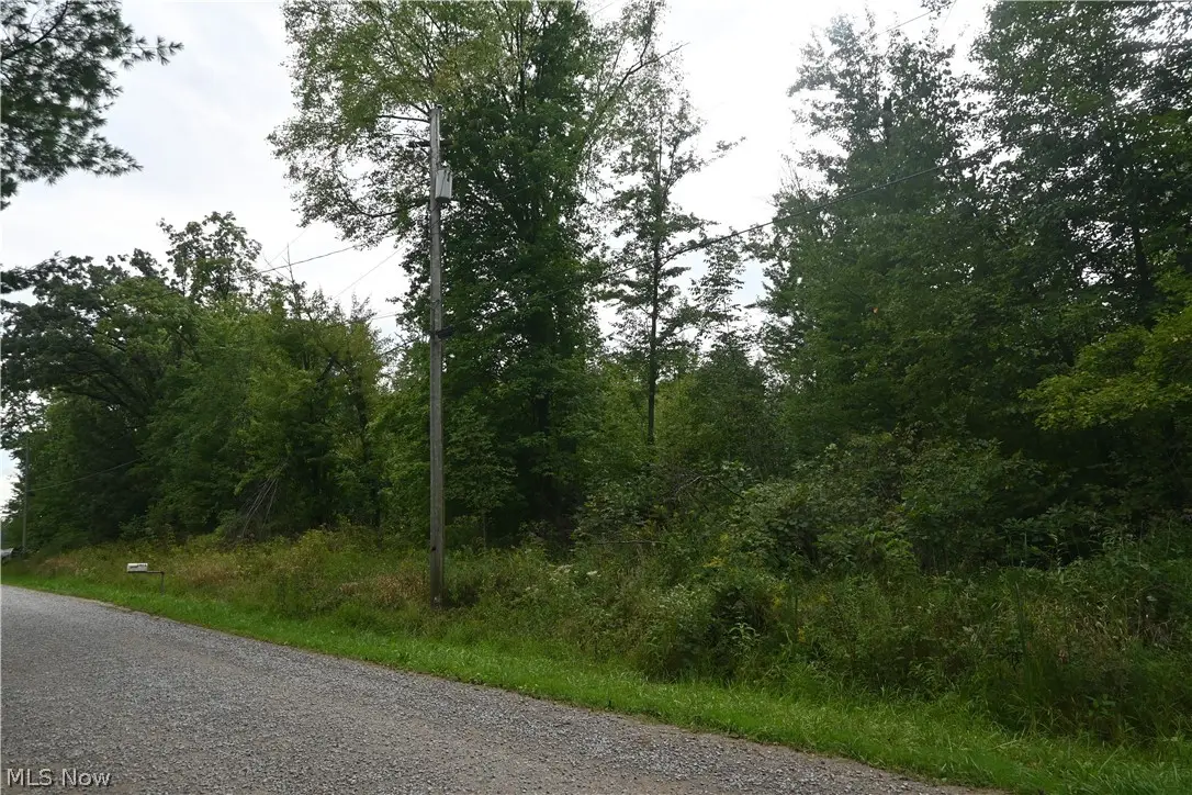 Lewis Road, Pierpont, OH 44082 - #1