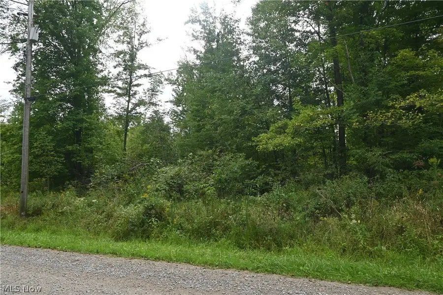 Lewis Road, Pierpont, OH 44082 - #2