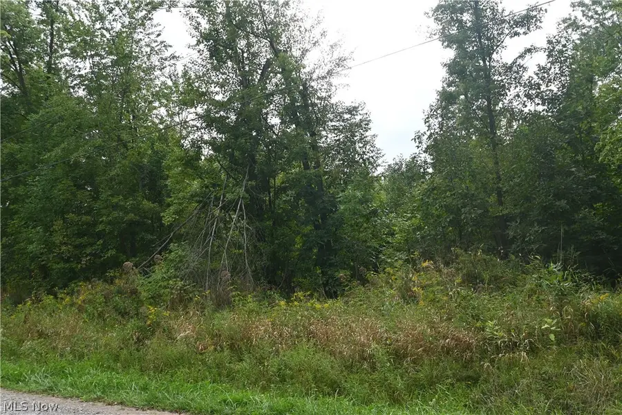 Lewis Road, Pierpont, OH 44082 - #3
