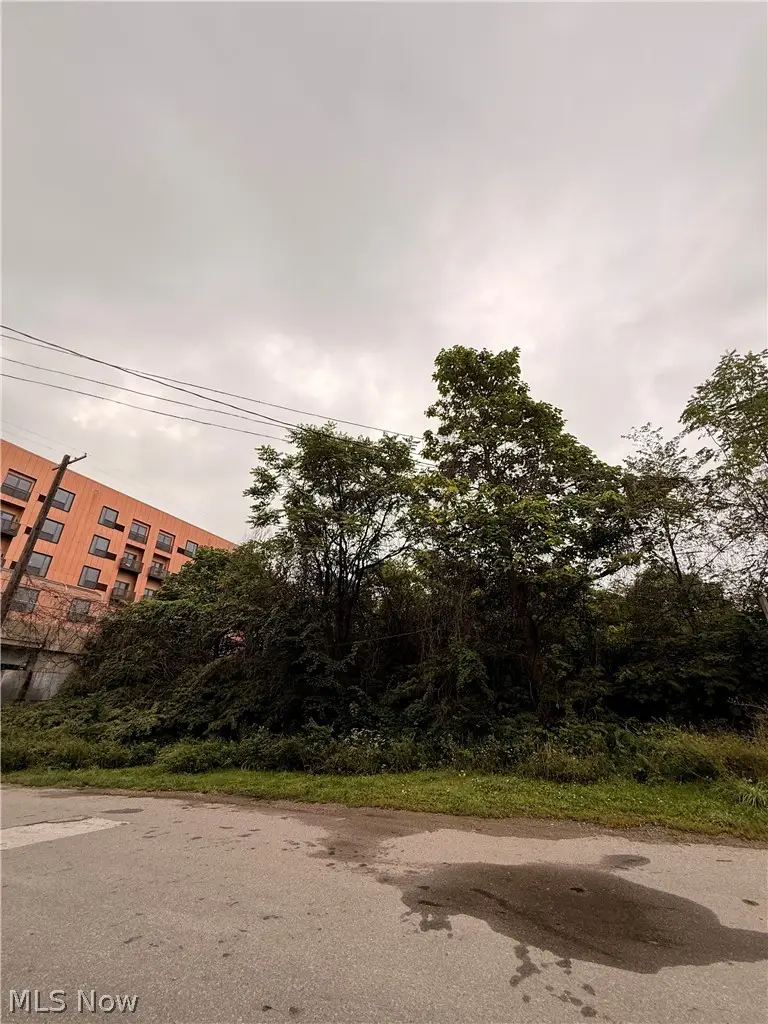W 25th Street, Cleveland, OH 44113 - #2