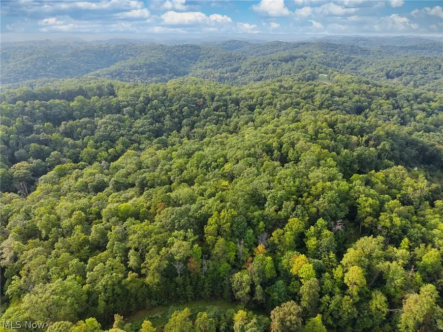 Rt 50 Over 1 & 2 (yeager Run), Greenwood, WV 26415 - #3