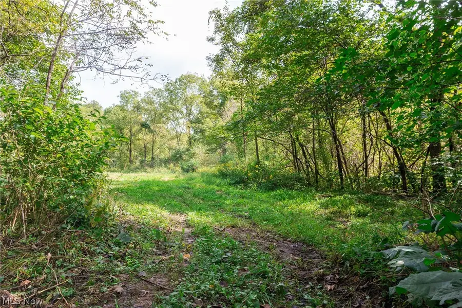 37500 Goose Run Road #2, Dexter City, OH 45727 - #3