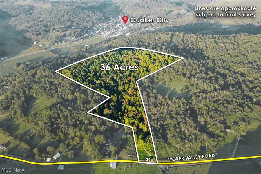 Yoker Valley Road, Quaker City, OH 43773 - #3