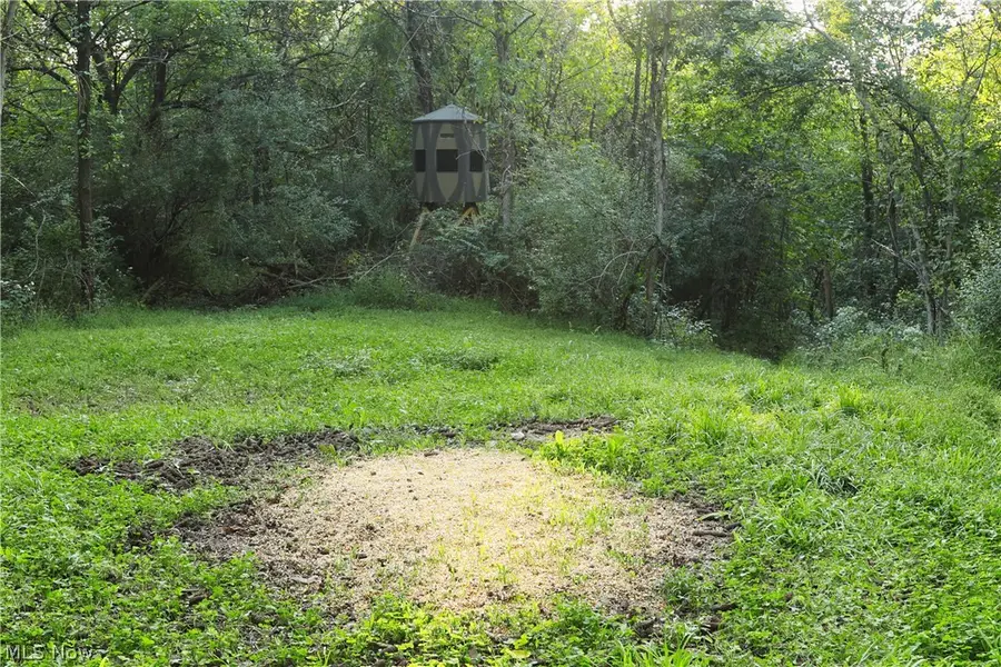 Groves Hill Rd, Caldwell, OH 43724 - #3