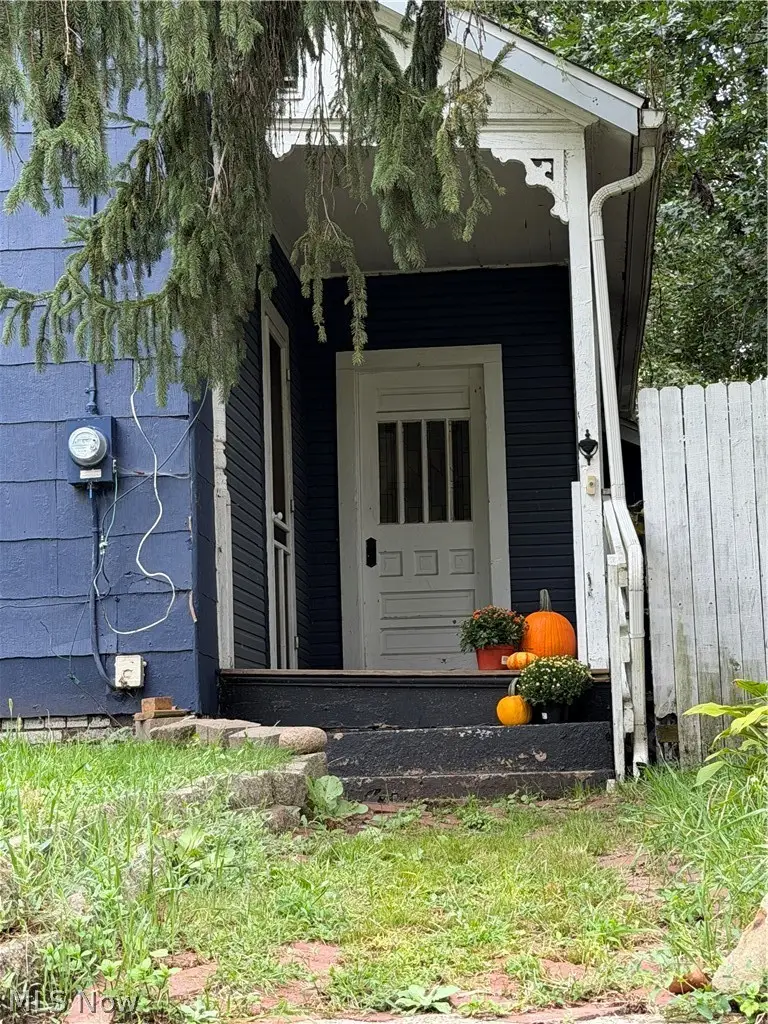 131 W Miller Avenue, Akron, OH 44301 - #2