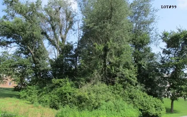 Della Drive, Bloomingdale, OH 43910 - #2