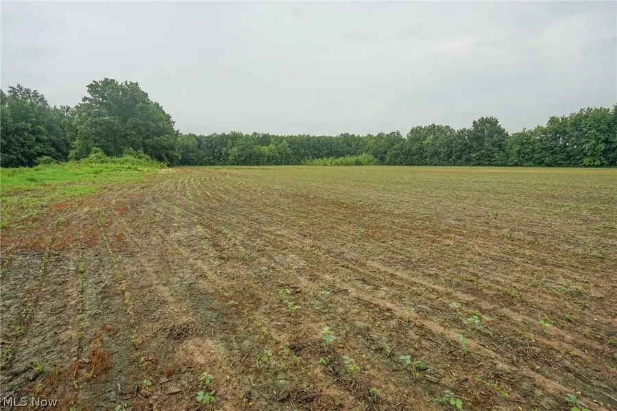 Duncanson Rd, Whiteoak, OH 45172 - #3