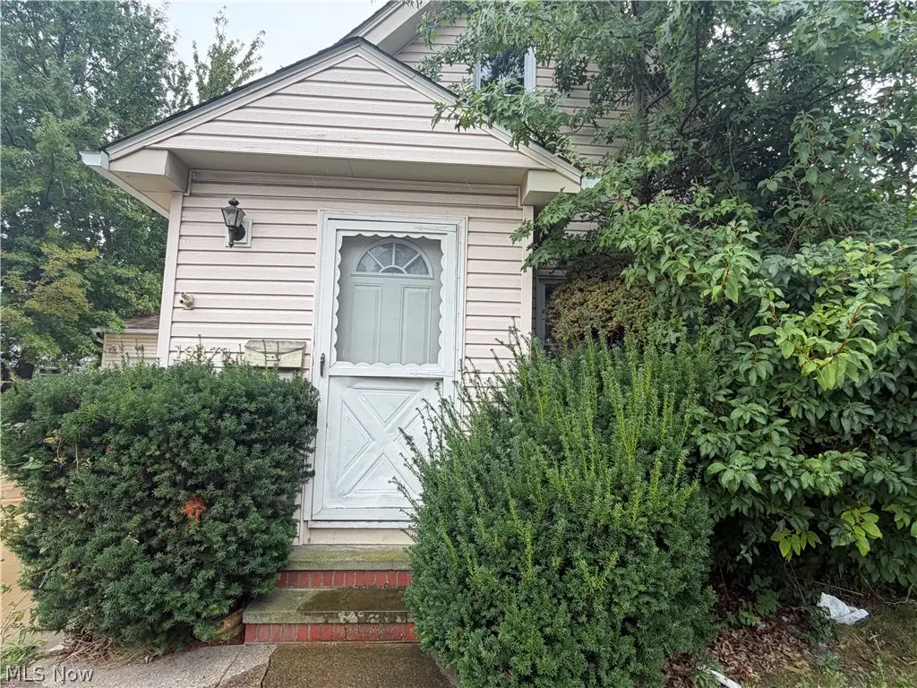 19870 Pasnow Avenue, Euclid, OH 44119 - #1