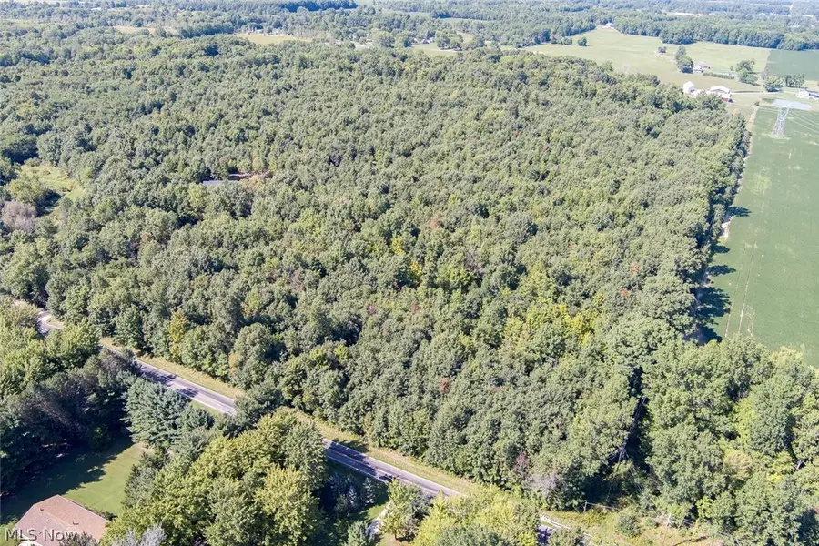 Dunham Road #Lot 3, Litchfield, OH 44253 - #3