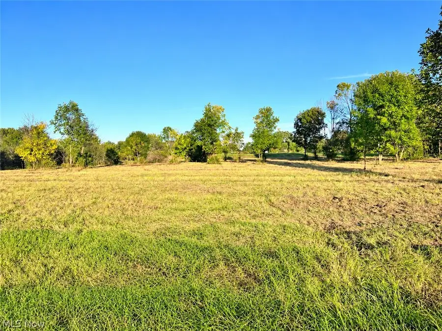 Lot #1 W Smith Road, Medina, OH 44256 - #2