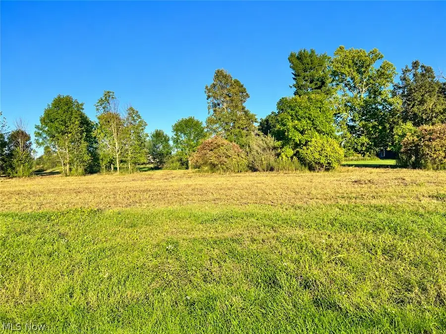 Lot #1 W Smith Road, Medina, OH 44256 - #3
