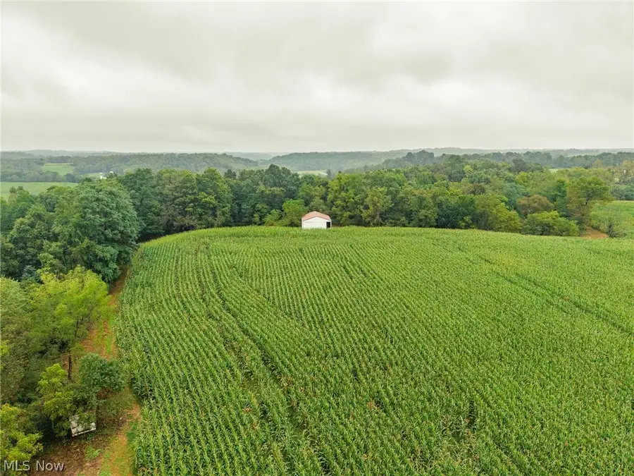 White Eyes Road, New Concord, OH 43762 - #2