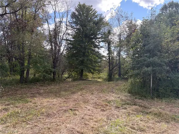 Scribner Road, Pierpont, OH 44082
