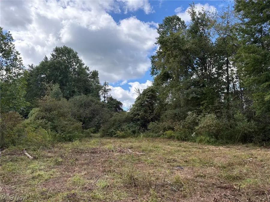 Scribner Road, Pierpont, OH 44082 - #2