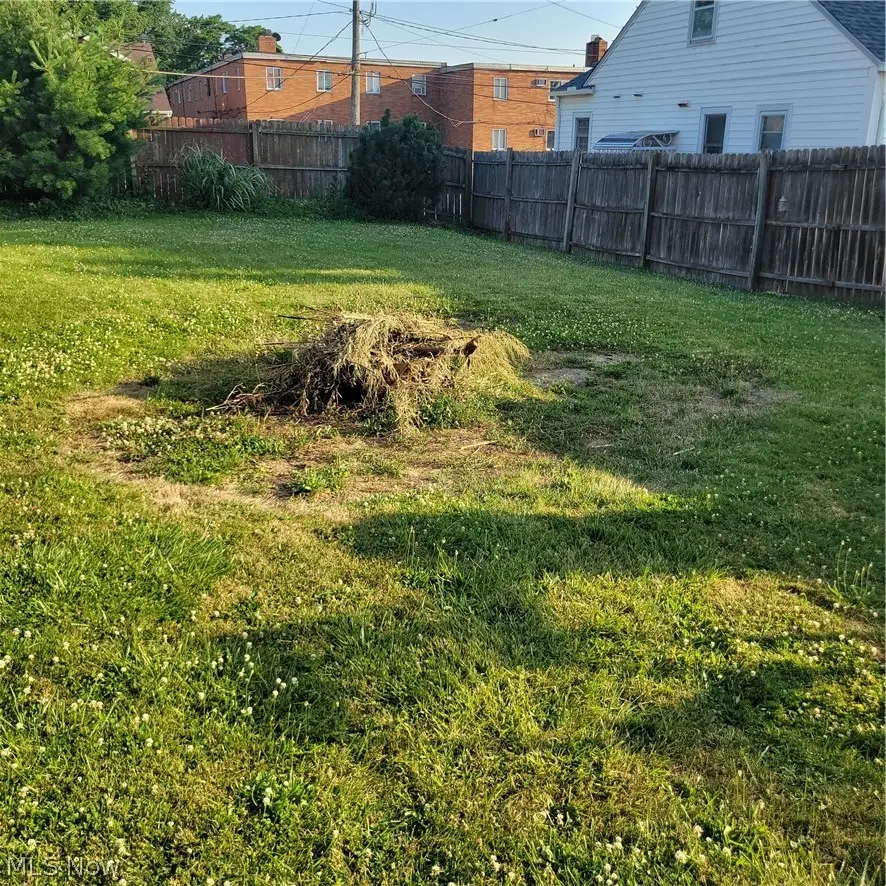 11516 Thrush Avenue, Cleveland, OH 44111 - #3