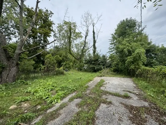 13401 Bartlett Avenue, Cleveland, OH 44120 - #3
