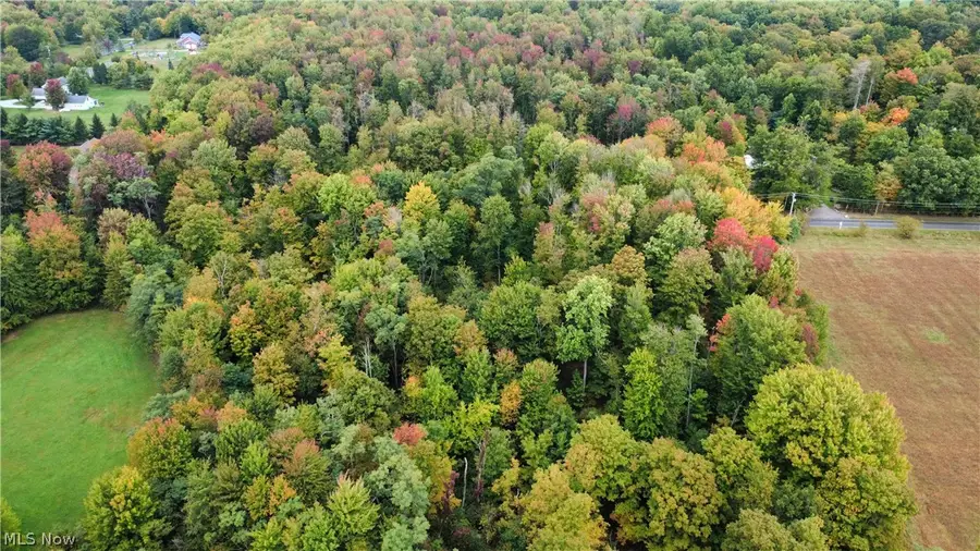 V/L 1 Balch Road, Leroy, OH 44086 - #3
