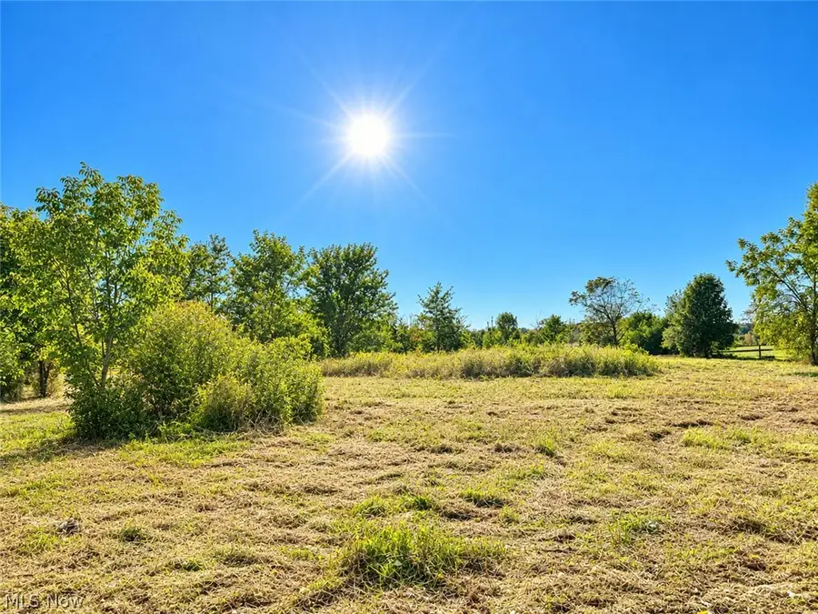 Lot #2 W Smith Road, Medina, OH 44256 - #2