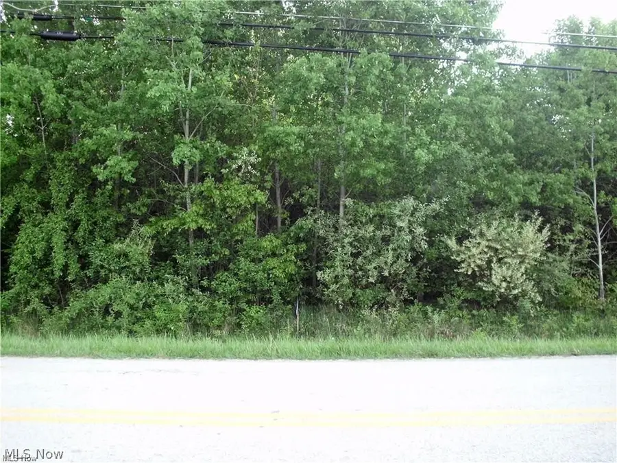 674 Rome Rock Creek Road, Roaming Shores, OH 44084 - #2