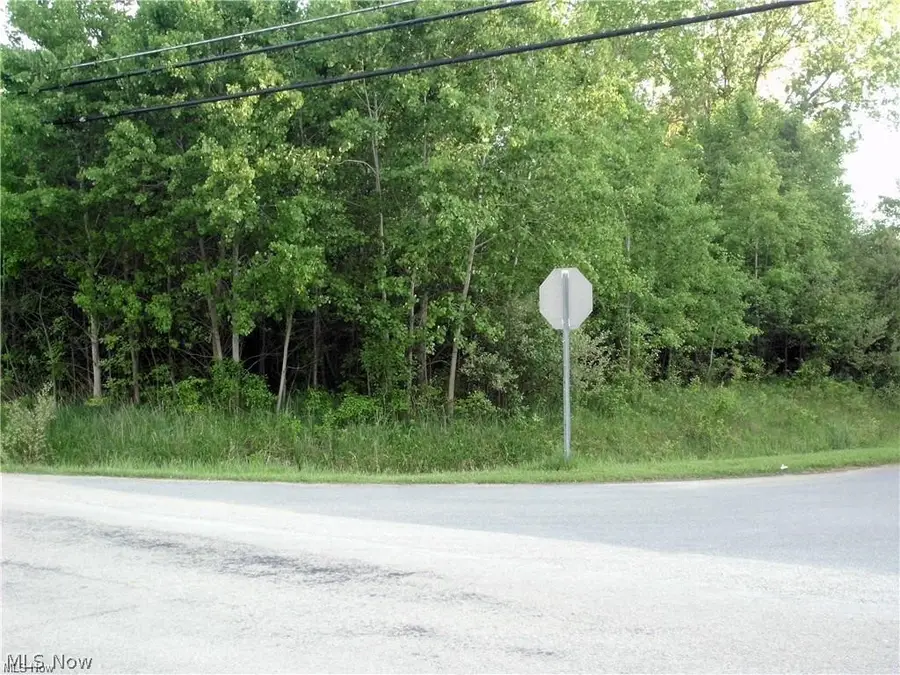 674 Rome Rock Creek Road, Roaming Shores, OH 44084 - #3