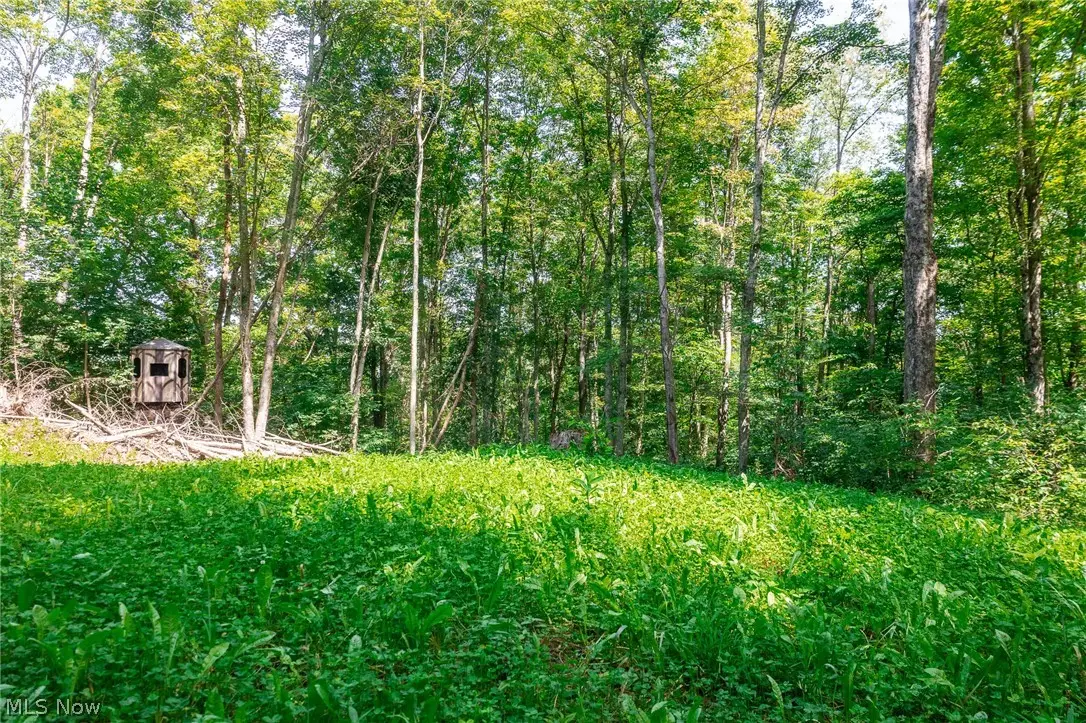Richards Rd. Road, Cambridge, OH 43725 - #1
