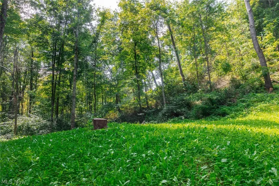 Richards Rd. Road, Cambridge, OH 43725 - #2