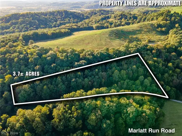 0 Marlatt Run Road, Kimbolton, OH 43832