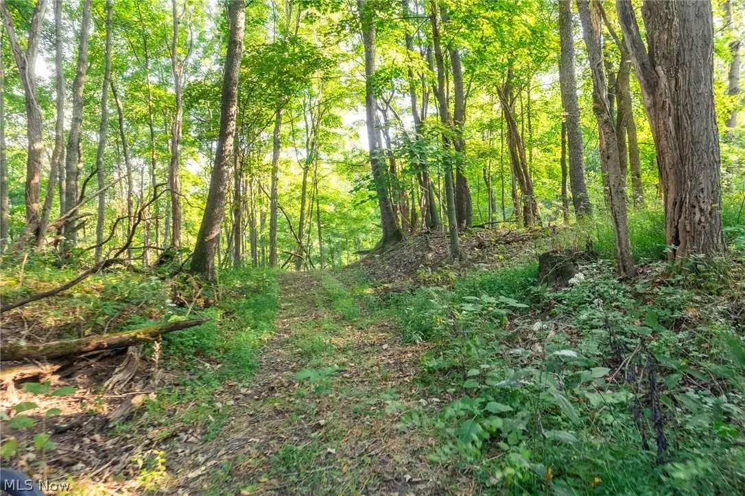 10772 Lawndell Sw Road #6, Sugar Creek, OH 44608 - #1