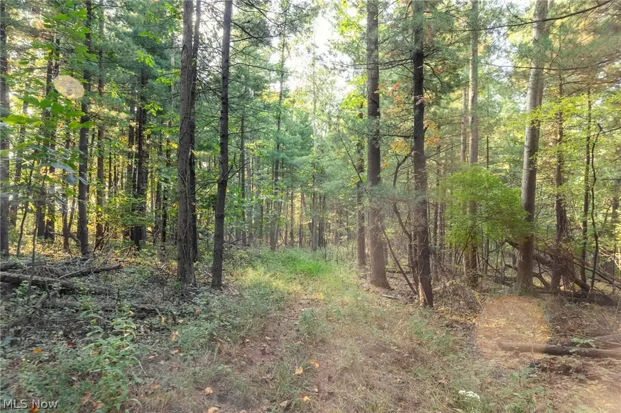 10772 Lawndell Sw Road #9, Navarre, OH 44662 - #3