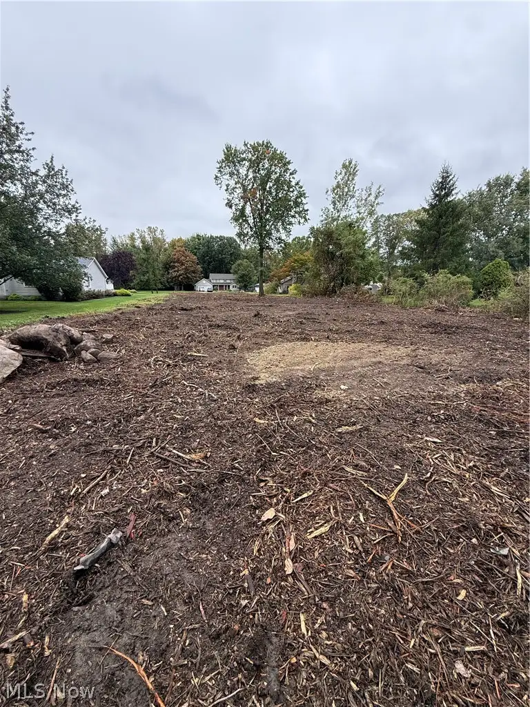 VL Falling Rock Lane, Painesville, OH 44077 - #2